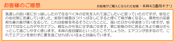 ゆったりお一人用 本麻蚊帳